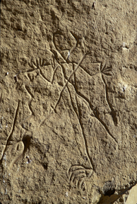 recogrock